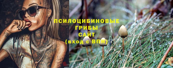 хмурый Козельск