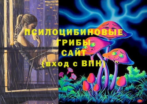 spice Козловка