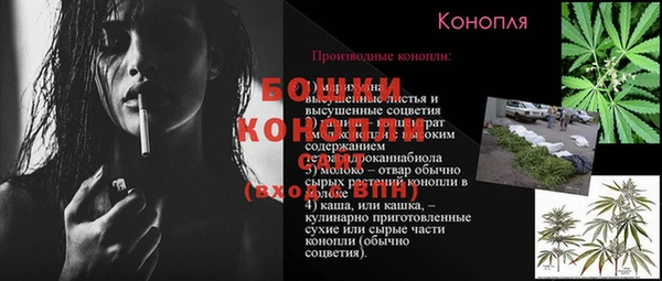 твердый Кодинск