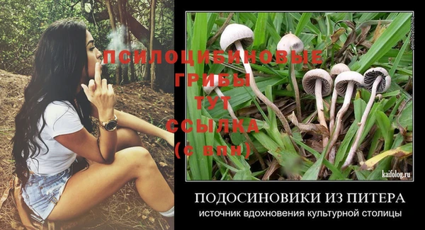 стафф Корсаков