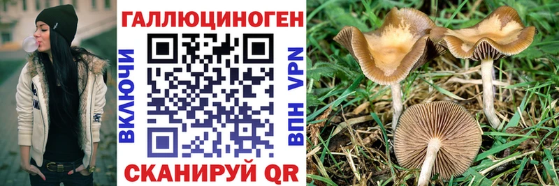 Псилоцибиновые грибы Cubensis  гидра tor  Кириллов 