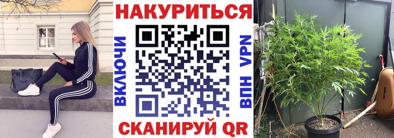 как найти наркотики  Кириллов  omg tor  Бошки марихуана Amnesia 